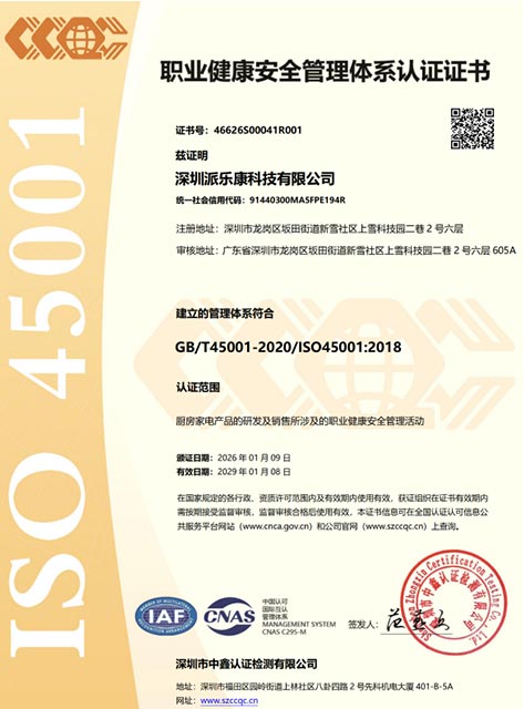 Panacon Patent Certificate 16